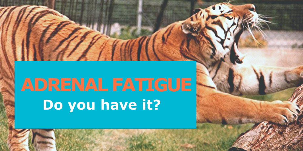 15 Signs of Adrenal Fatigue